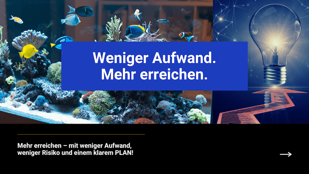 meerwasser-online-gratis-workshop-folie-web
